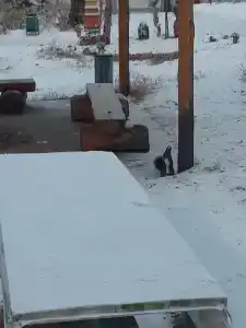 Пристань - 7