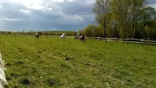 Ситское подворье - 33