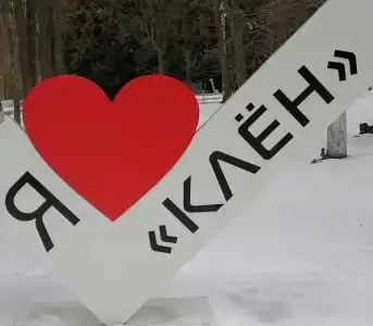 Клён - 1