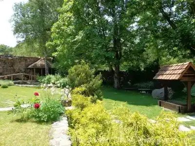 Eco Garden - 9