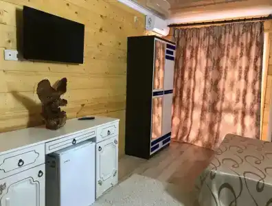 Камелия - 2