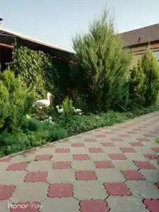 Югра на Приморском - 19