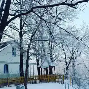 Купринка - 32