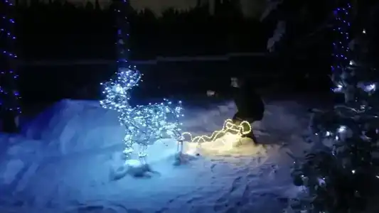 Лесная сказка - 1