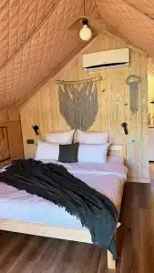 Тенгри - 24