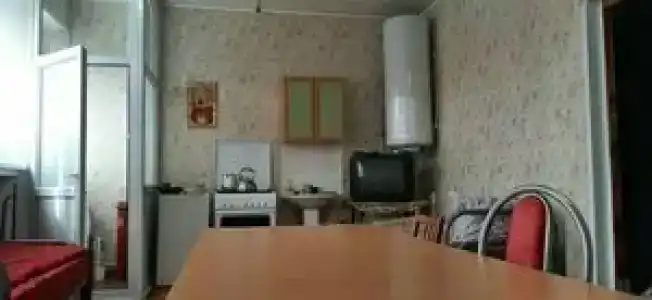 Дельфин - 23