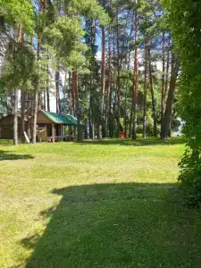 ГаммаСофт - 43