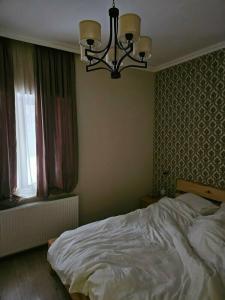 Cozy in Kazbegi - 17