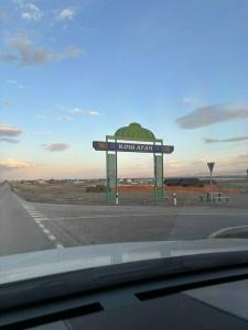 Altay Steppe - 31