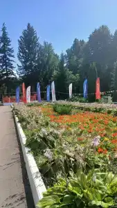 Доброе - 43
