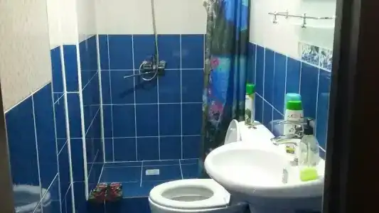 Трест - 31