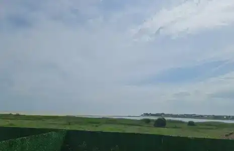 Сумахи - 24