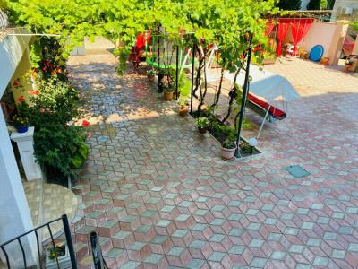 Deniz Company - 12