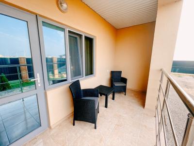 Hoot - 12