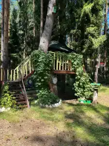 В лесу - 31