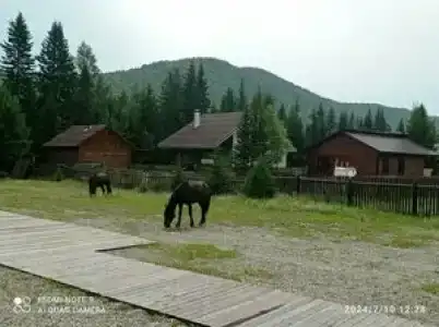 Тайга Гостевой дом - 30