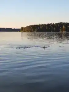 Вуокса парк - 39
