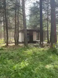 Лесная Резиденция - 5