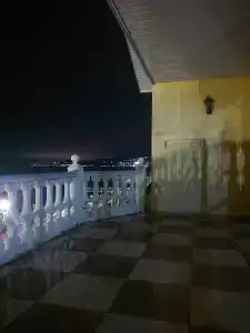 Оазис - 12
