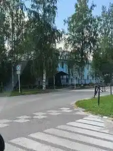Лесная - 38