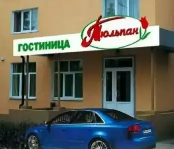 Тюльпан - 37