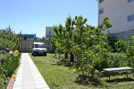 Инжир - 5