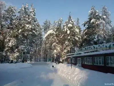 Зеленый Яр - 11