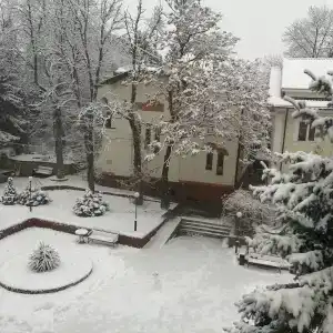 Шаляпин - 25