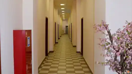 Памир Альянс - 12