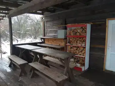 Теплый Лес - 3