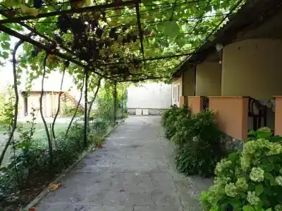 Welcome - 7