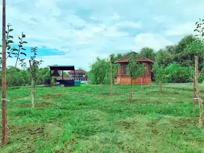 Рыбоход - 5