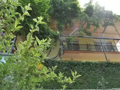 Казанова - 39