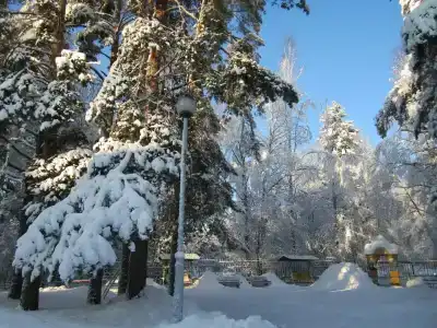 Пионер - 4