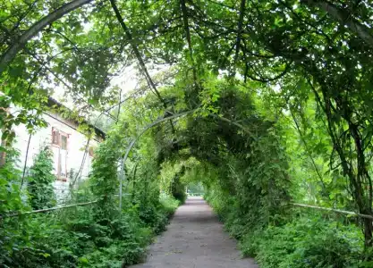 Санаторий Вьюнки - 3