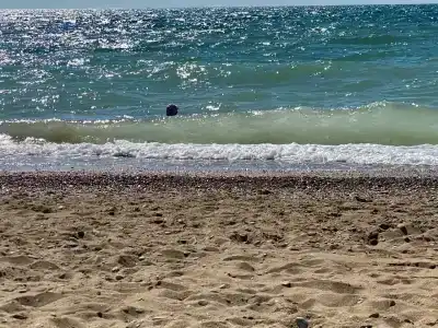 Качинская - 99