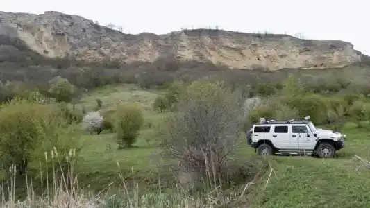 Вишневый сад - 37