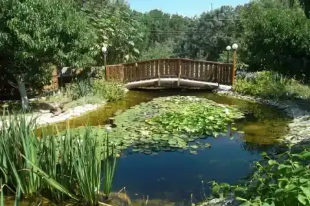 Хуторок - 2