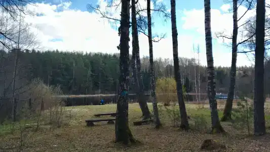 Динамо - 30