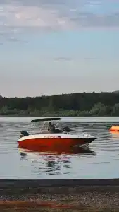 Березка - 19