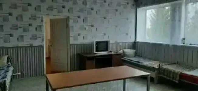 Дельфин - 24