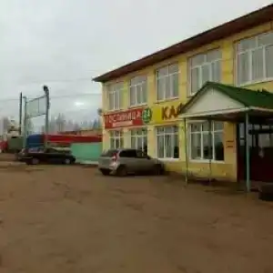 Сова - 27
