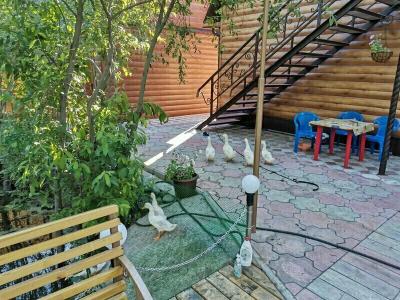 Resort - 43
