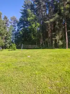 ГаммаСофт - 42