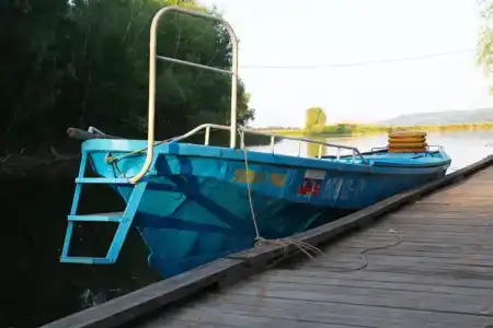 Дубовая Грива - 74