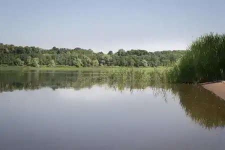 Дубовая Грива - 57
