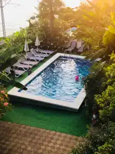 Фламинго - 87