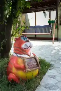 Green Cat - 11