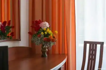 Огниково - 63