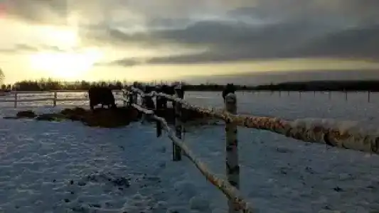 Ситское подворье - 6